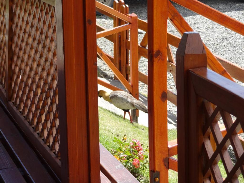 Cabanas De Nene Aparts El Calafate Eksteriør bilde